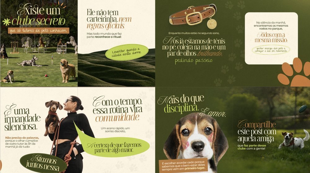 Case de pet e lifestyle
